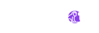 apespot.agency